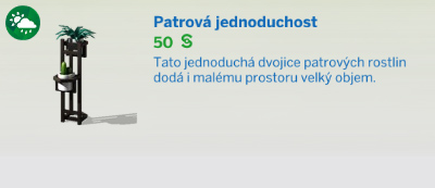 Pokojové rostliny
