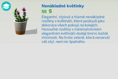 Pokojové rostliny