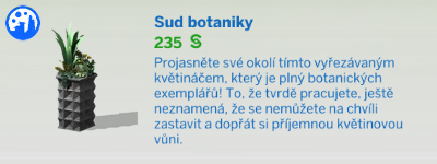 Pokojové rostliny