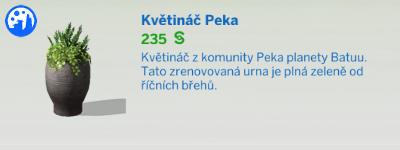 Pokojové rostliny
