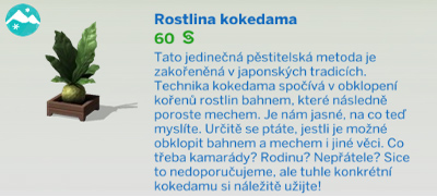 Pokojové rostliny