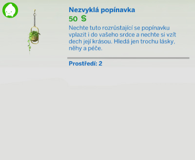 Pokojové rostliny
