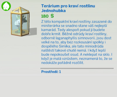 Pokojové rostliny