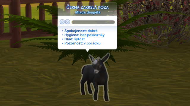 Péče o lamy Obrázek