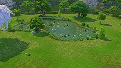 Brouzdaliště Kapradí a listí (obrázek)