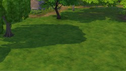 Eukalyptová 23 - Obrázek