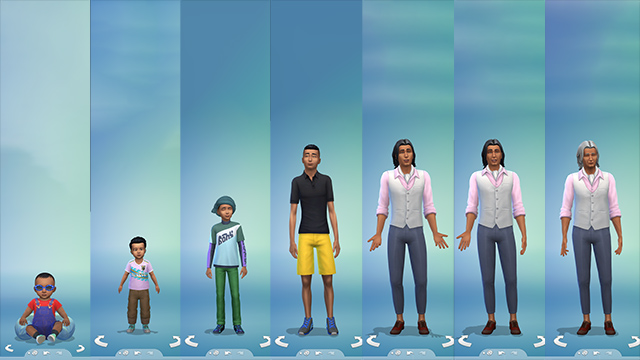 Životní etapy (Obrázek)