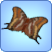 Motýl Ostruhák hnědý